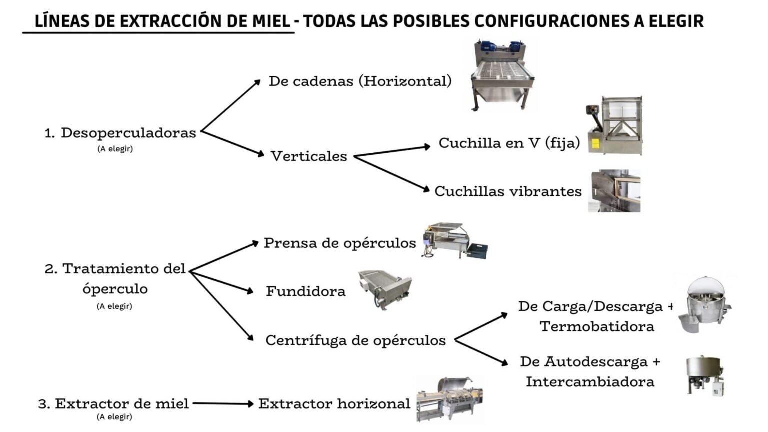 Descubre el fascinante proceso de extracción de la miel de maple y cómo