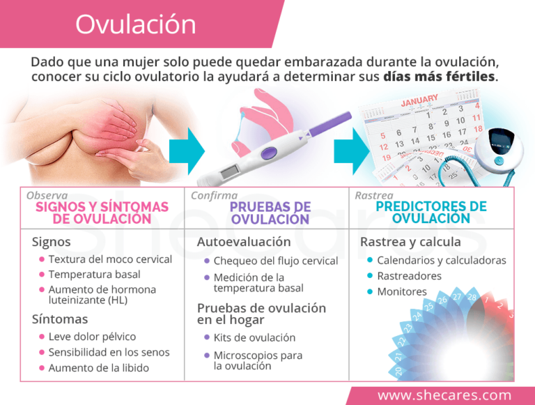 Cuánto Dura La Ovulación Y Sus Síntomas La Guía Completa Para Maximizar Tus Posibilidades De 3078